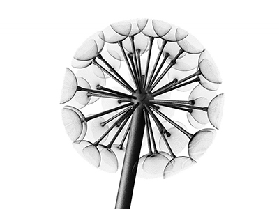 Фонарь уличный Данди 3м/800