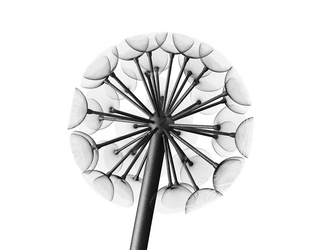 Фонарь уличный Данди 3м/800 - вид 4